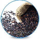 รำข้าวสีนิล